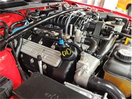 2008 Shelby GT500 (CC-1824848) for sale in Bristol, Pennsylvania