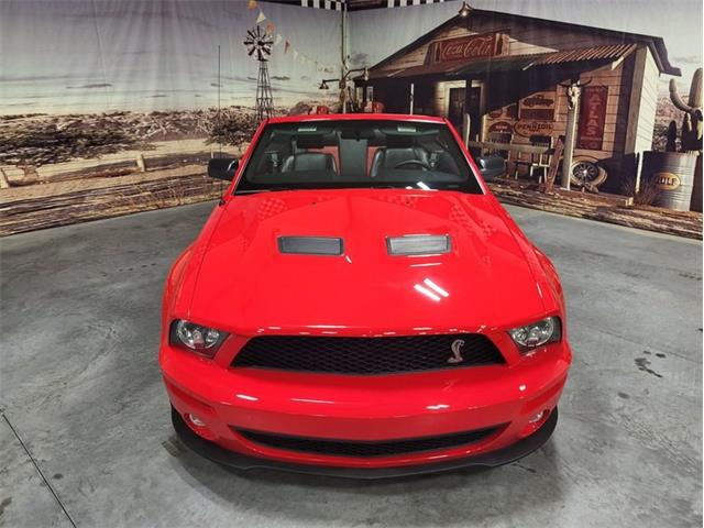 2008 Shelby GT500 (CC-1824848) for sale in Bristol, Pennsylvania