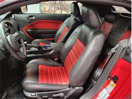 2008 Shelby GT500 (CC-1824848) for sale in Bristol, Pennsylvania