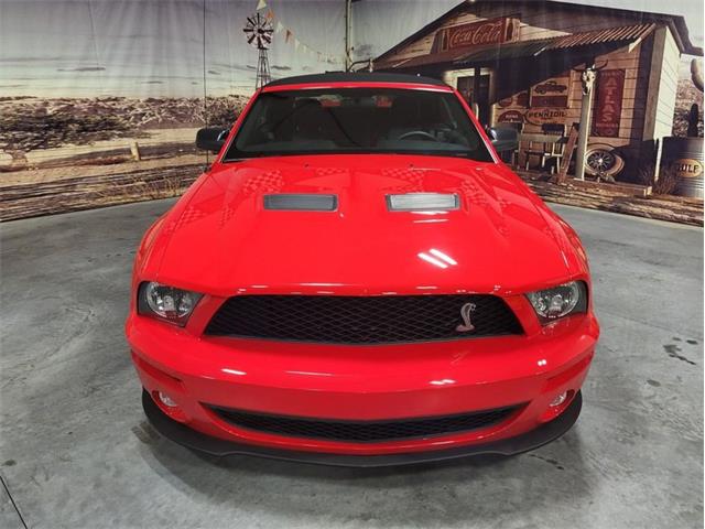 2008 Shelby GT500 (CC-1824848) for sale in Bristol, Pennsylvania