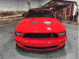 2008 Shelby GT500 (CC-1824848) for sale in Bristol, Pennsylvania