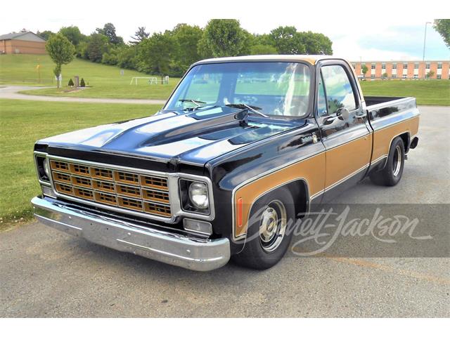 1977 Chevrolet C10 (CC-1825158) for sale in West Palm Beach, Florida