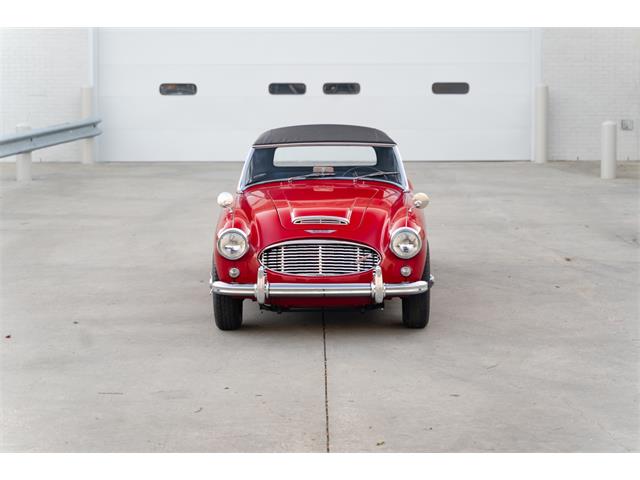 1960 Austin-Healey 3000 Mk I BT7 (CC-1825233) for sale in Houston, Texas