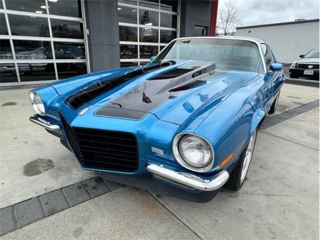 1973 Chevrolet Camaro (CC-1825701) for sale in Cadillac, Michigan