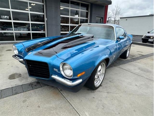1973 Chevrolet Camaro (CC-1825701) for sale in Cadillac, Michigan
