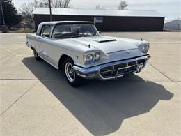 1959 Ford Thunderbird (CC-1826585) for sale in Annandale, Minnesota