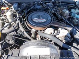 1977 Oldsmobile 98 Regency (CC-1826676) for sale in Downers Grove, Illinois