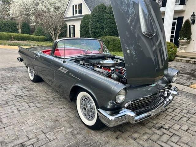 1957 Ford Thunderbird (CC-1826890) for sale in Cadillac, Michigan
