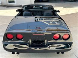 1989 Chevrolet Corvette (CC-1827007) for sale in Bradenton, Florida