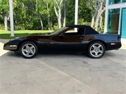 1989 Chevrolet Corvette (CC-1827007) for sale in Bradenton, Florida