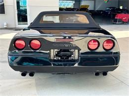 1989 Chevrolet Corvette (CC-1827007) for sale in Bradenton, Florida