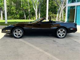 1989 Chevrolet Corvette (CC-1827007) for sale in Bradenton, Florida