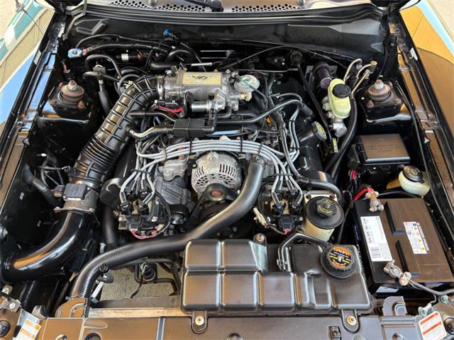 1998 Ford Mustang (CC-1827062) for sale in Bradenton, Florida