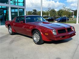 1976 Pontiac Firebird (CC-1827104) for sale in Palmetto, Florida