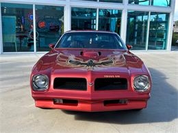 1976 Pontiac Firebird (CC-1827104) for sale in Palmetto, Florida
