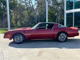 1976 Pontiac Firebird (CC-1827104) for sale in Palmetto, Florida