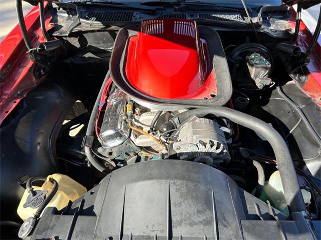 1976 Pontiac Firebird (CC-1827104) for sale in Palmetto, Florida
