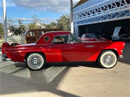 1956 Ford Thunderbird (CC-1827256) for sale in Palmetto, Florida