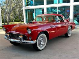1956 Ford Thunderbird (CC-1827256) for sale in Palmetto, Florida
