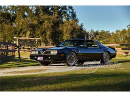 1977 Pontiac Firebird Trans Am (CC-1827923) for sale in West Palm Beach, Florida