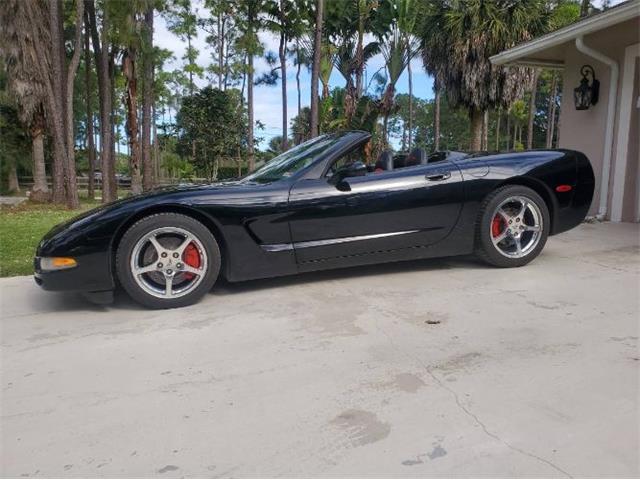 1999 Chevrolet Corvette for Sale | ClassicCars.com | CC-1828241