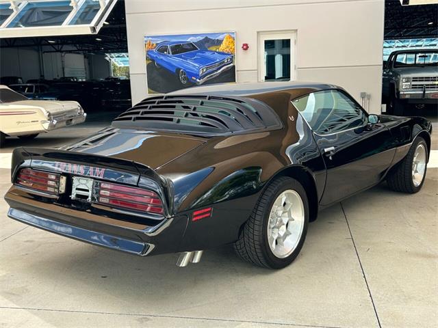 1976 Pontiac Firebird Trans Am for Sale | ClassicCars.com | CC-1828582