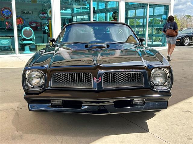 1976 Pontiac Firebird Trans Am for Sale | ClassicCars.com | CC-1828582
