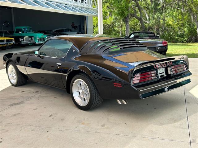 1976 Pontiac Firebird Trans Am for Sale | ClassicCars.com | CC-1828582