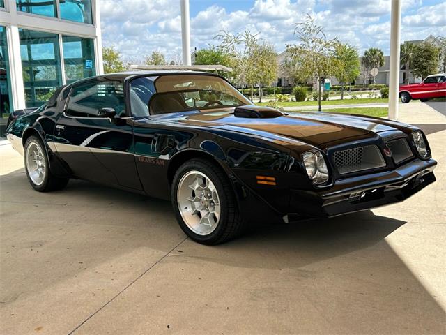 1976 Pontiac Firebird Trans Am for Sale | ClassicCars.com | CC-1828582