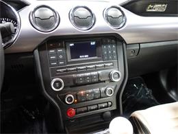 2017 Ford Mustang (CC-1828628) for sale in Pittsburgh, Pennsylvania