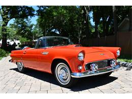 1956 Ford Thunderbird (CC-1829106) for sale in Lakeland, Florida