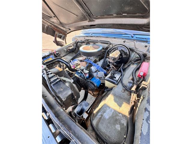1976 Ford F100 (CC-1829120) for sale in Knoxville, Tennessee