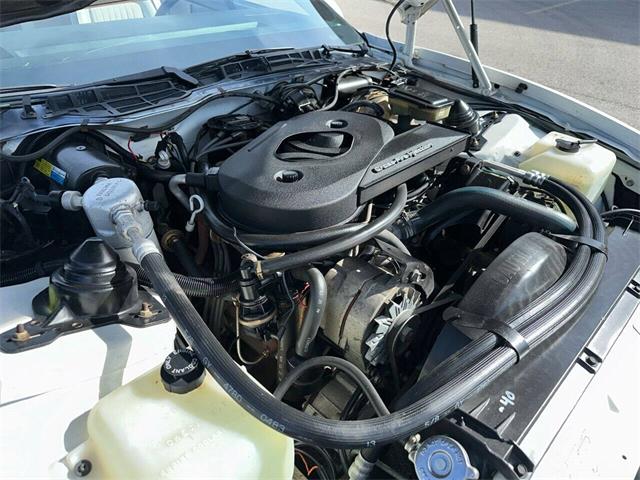 1983 Pontiac Firebird Trans Am (CC-1829780) for sale in Addison, Illinois