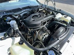 1983 Pontiac Firebird Trans Am (CC-1829780) for sale in Addison, Illinois