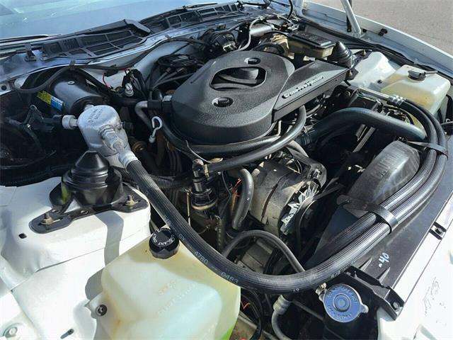 1983 Pontiac Firebird Trans Am (CC-1829780) for sale in Addison, Illinois