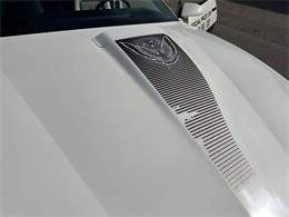 1983 Pontiac Firebird Trans Am (CC-1829780) for sale in Addison, Illinois