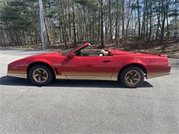 1984 Pontiac Firebird Trans Am (CC-1829798) for sale in Abington, Massachusetts