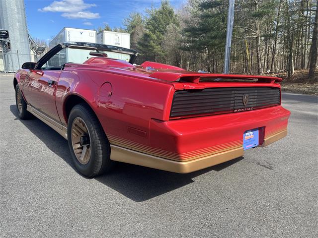 1984 Pontiac Firebird Trans Am (CC-1829798) for sale in Abington, Massachusetts