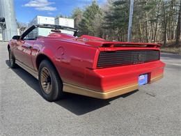 1984 Pontiac Firebird Trans Am (CC-1829798) for sale in Abington, Massachusetts