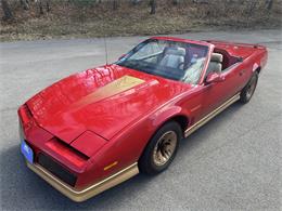 1984 Pontiac Firebird Trans Am (CC-1829798) for sale in Abington, Massachusetts