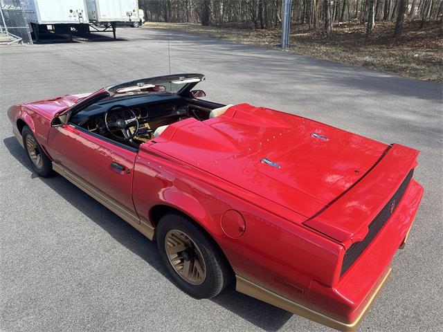 1984 Pontiac Firebird Trans Am (CC-1829798) for sale in Abington, Massachusetts
