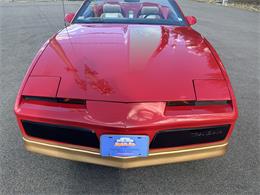 1984 Pontiac Firebird Trans Am (CC-1829798) for sale in Abington, Massachusetts