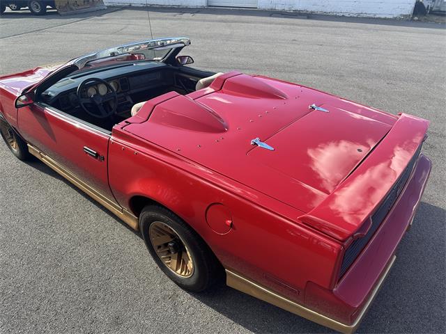 1984 Pontiac Firebird Trans Am (CC-1829798) for sale in Abington, Massachusetts