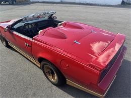 1984 Pontiac Firebird Trans Am (CC-1829798) for sale in Abington, Massachusetts