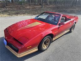 1984 Pontiac Firebird Trans Am (CC-1829798) for sale in Abington, Massachusetts