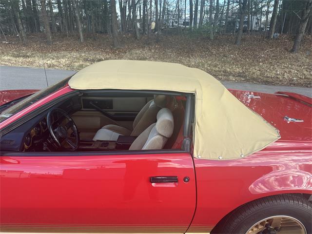 1984 Pontiac Firebird Trans Am (CC-1829798) for sale in Abington, Massachusetts