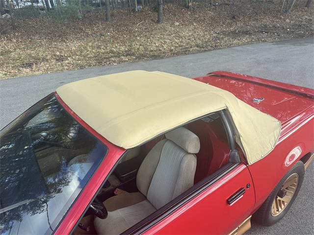 1984 Pontiac Firebird Trans Am (CC-1829798) for sale in Abington, Massachusetts