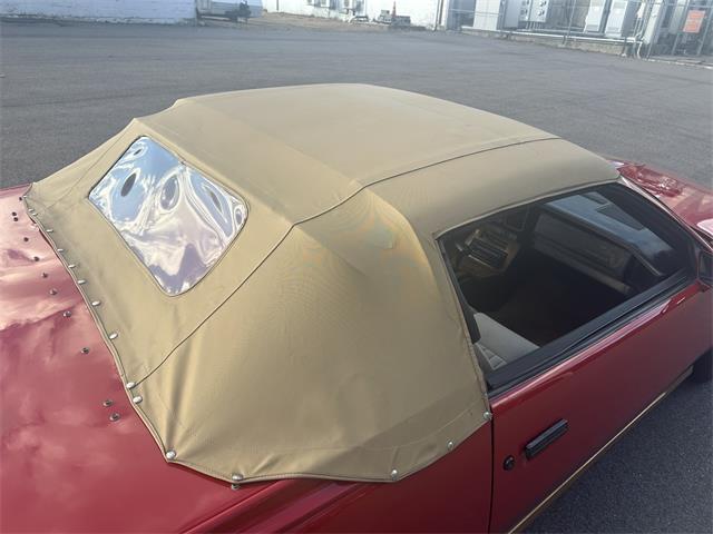 1984 Pontiac Firebird Trans Am (CC-1829798) for sale in Abington, Massachusetts