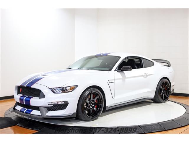 2018 Ford Mustang Shelby GT350 (CC-1831055) for sale in Springfield, Ohio