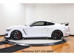 2018 Ford Mustang Shelby GT350 (CC-1831055) for sale in Springfield, Ohio